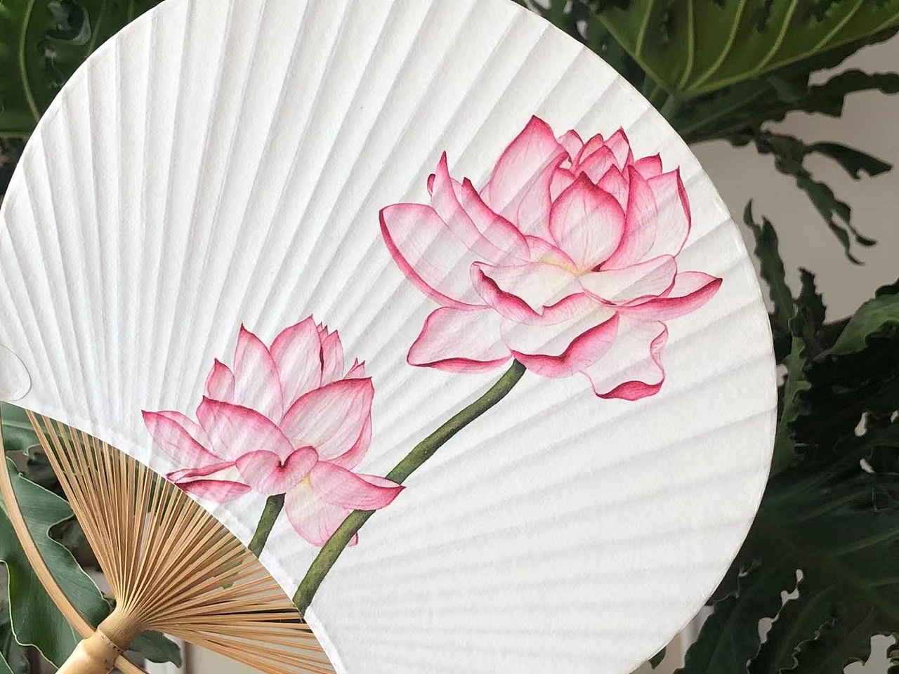 原创 ｜云熙绘 | 夏至荷花 🌥（图ZMjYzNzg5MjEy） - 绘画 - 站酷设计师云熙呐原创素材 - 站酷ZCOOL