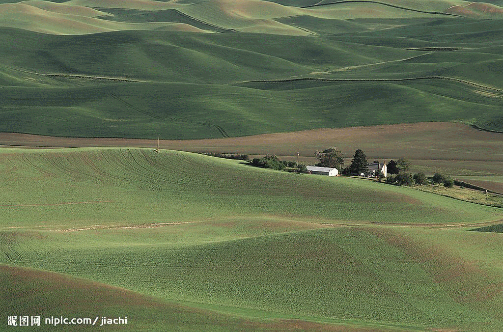 简单调色 草地调色（图ZMzE2NjQ1Mjg=） - 其他 - 站酷设计师那笔小新原创素材 - 站酷ZCOOL