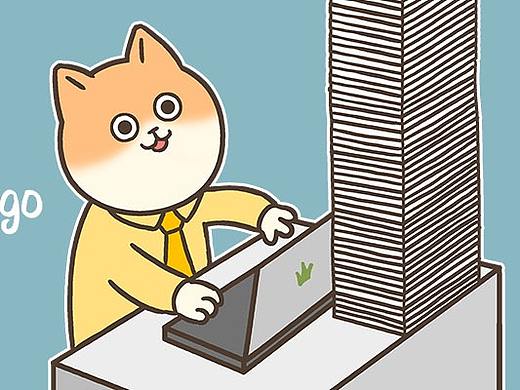猫哥mango8