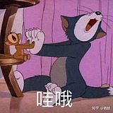 小何才露煎煎角的头像