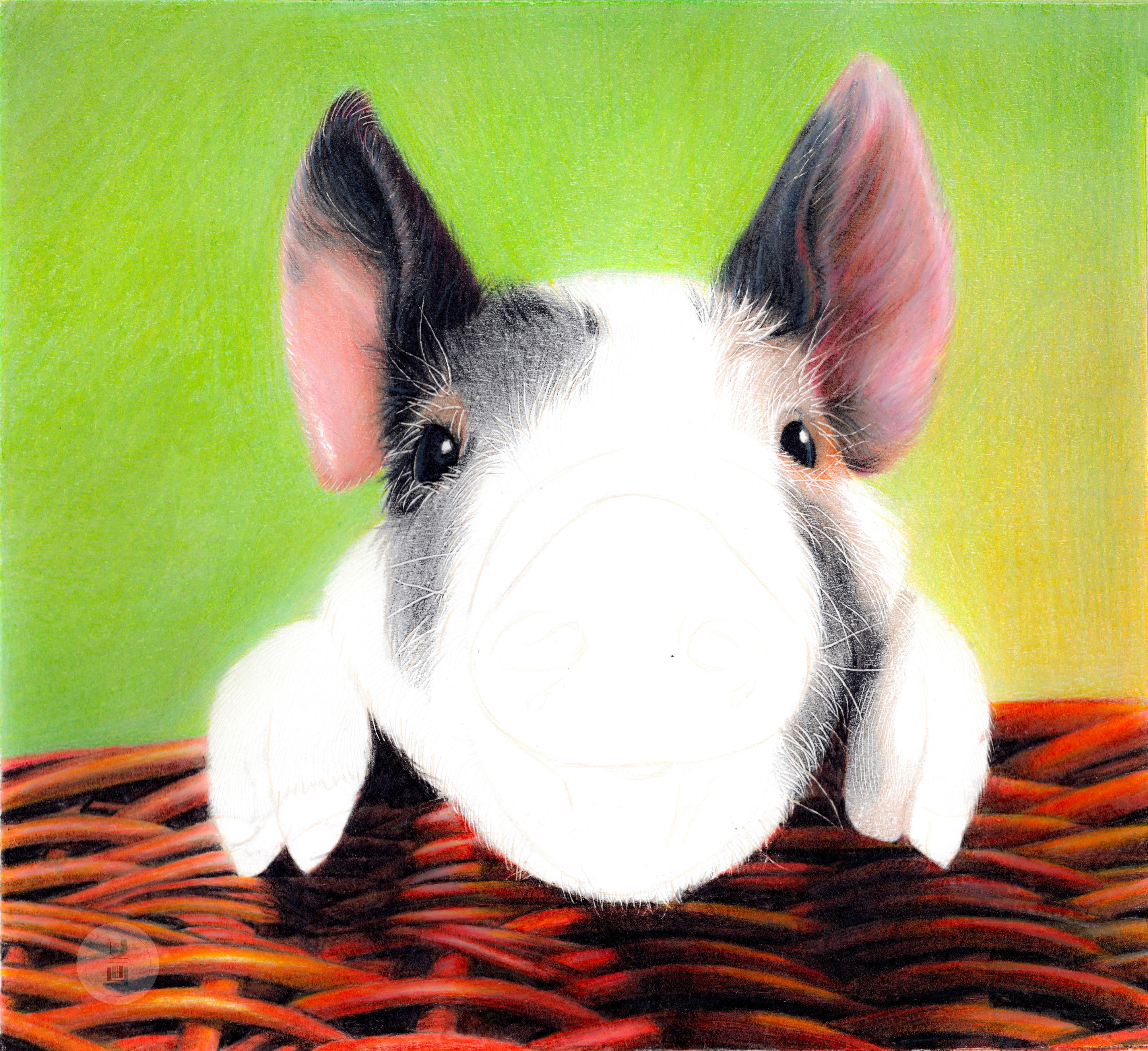 彩铅教程画2019年的第一头猪