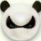 小熊猫与大熊猫的头像