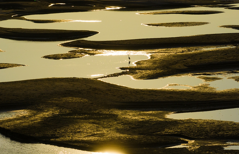 天兴洲落日～（图ZMzE0MDY5NjA0） - 风光摄影 - 站酷设计师马丁的老相机原创素材 - 站酷ZCOOL