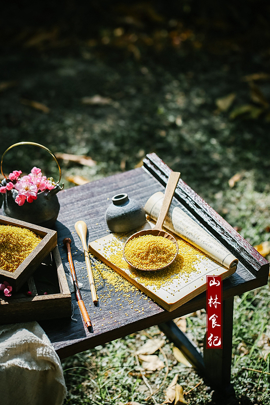斋时有饭，天明有粥。（图ZMTkzMzEyMTE2） - 产品摄影 - 站酷设计师山林纪原创素材 - 站酷ZCOOL