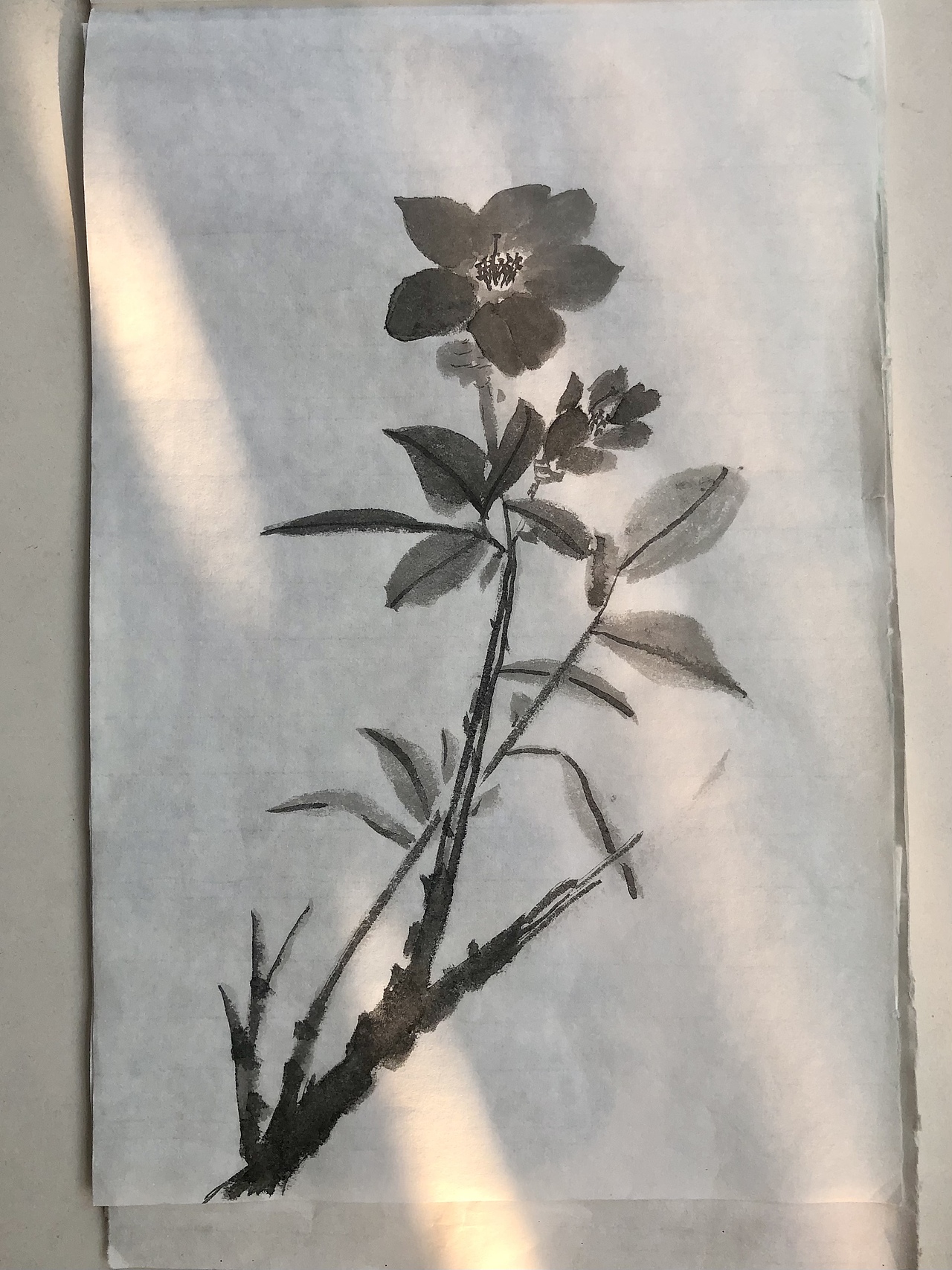 国画练习（图ZMjcyMzI3ODMy） - 绘画 - 站酷设计师努力的云月原创素材 - 站酷ZCOOL