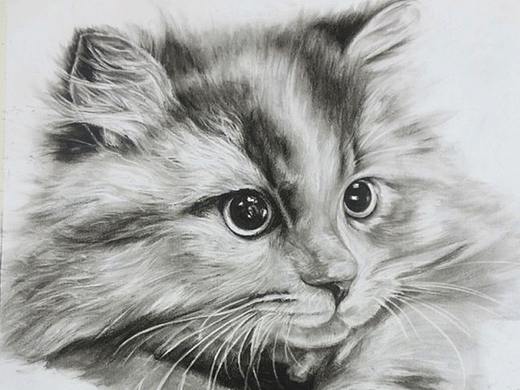 超写实手绘（个人主页-ZMjY3MjM4MDA=） - 创作习作 - 站酷设计师哈姆雷特的眼原创素材 - 站酷ZCOOL