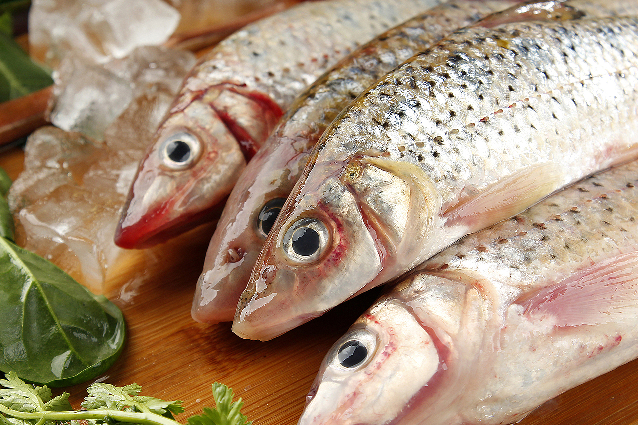 野生花骨鱼拍摄丨飞鸟电商