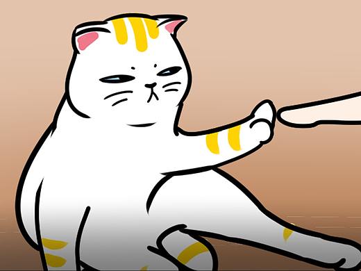猫咪都知道 🐱