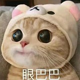 忽视我不想卫生部的头像