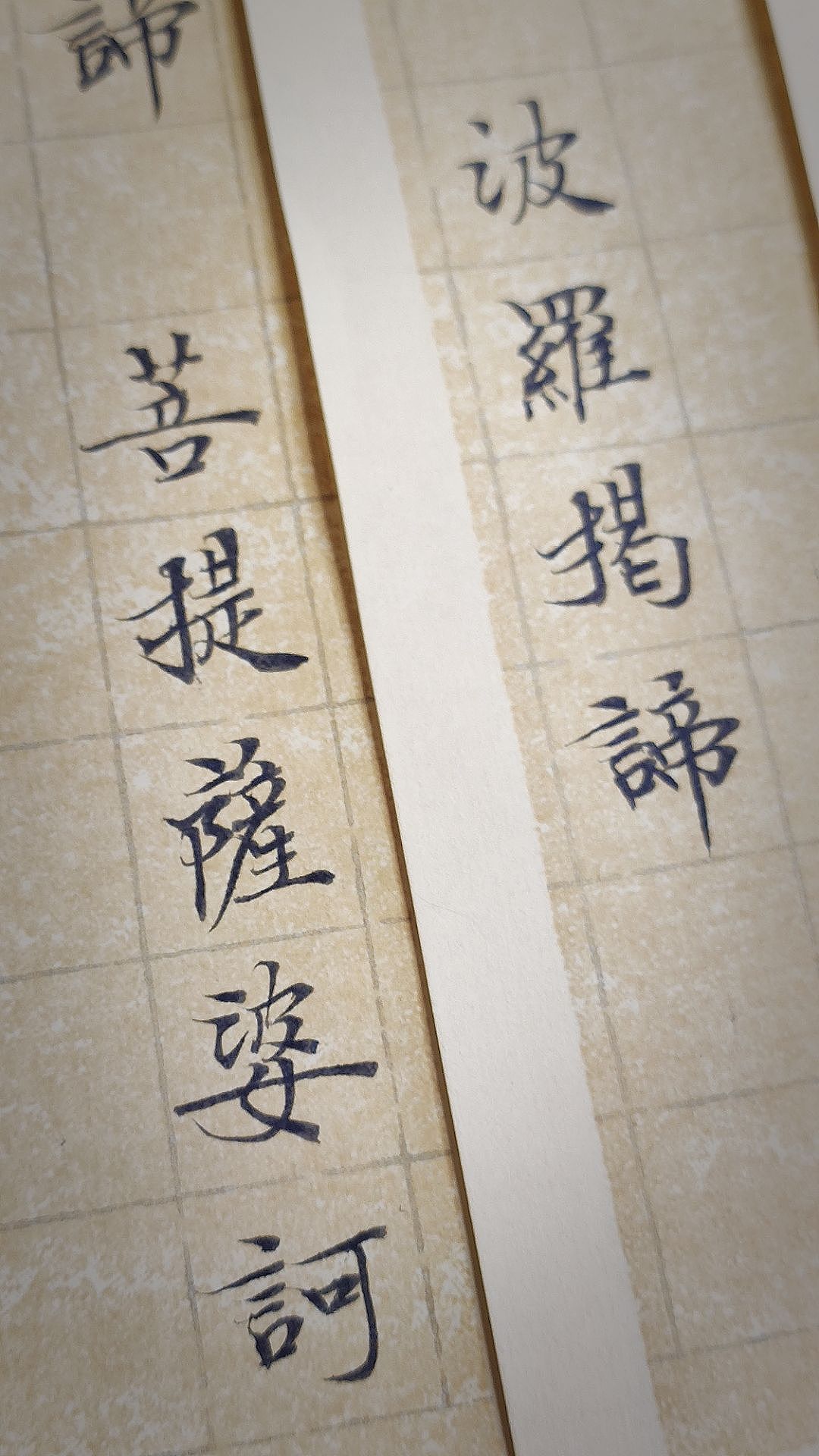 般若波罗蜜多心经。