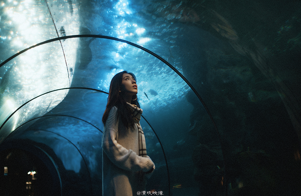 你是鱼儿水中游