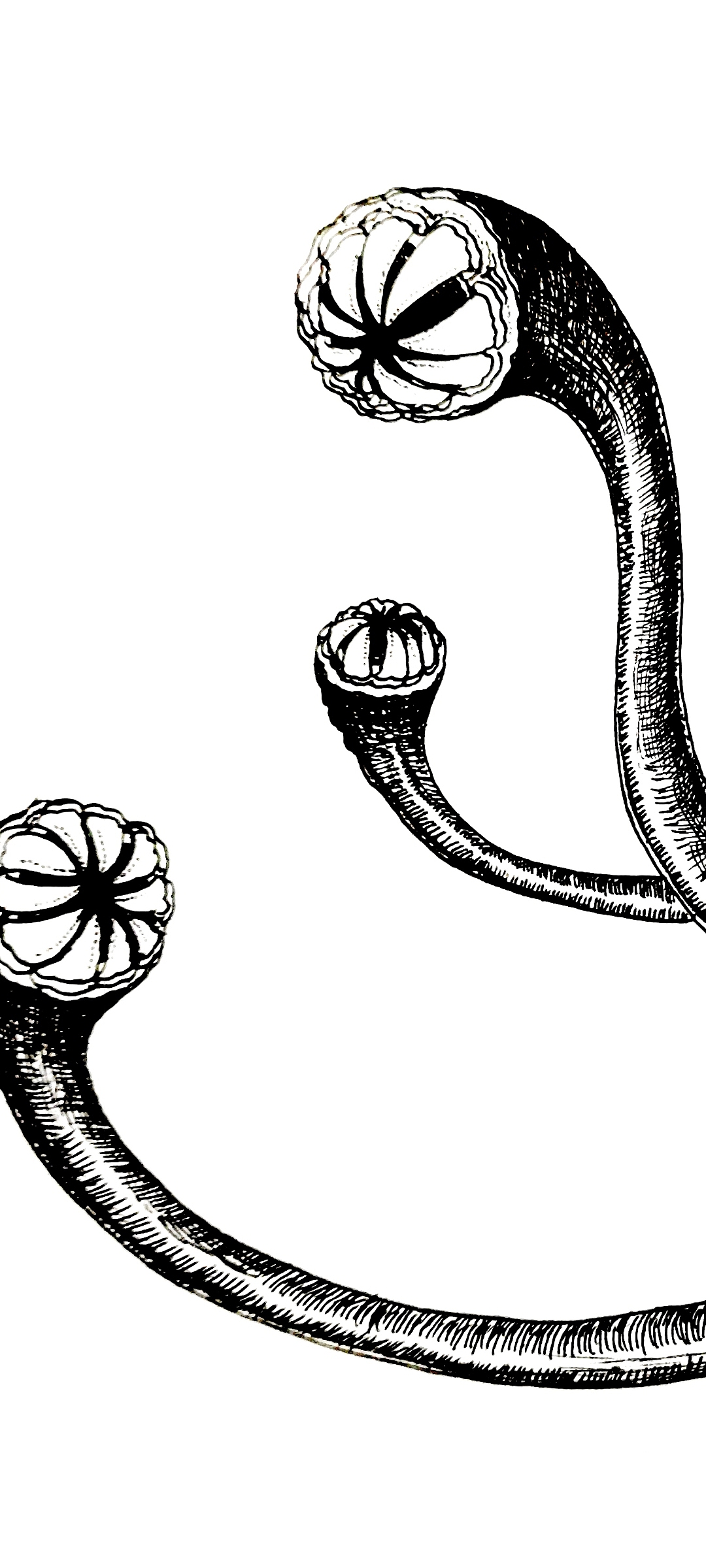 悬疑小说《魍魉之夜》插画（图ZMjg0NjMxODI0） - 商业插画 - 站酷设计师龙伟平原创素材 - 站酷ZCOOL