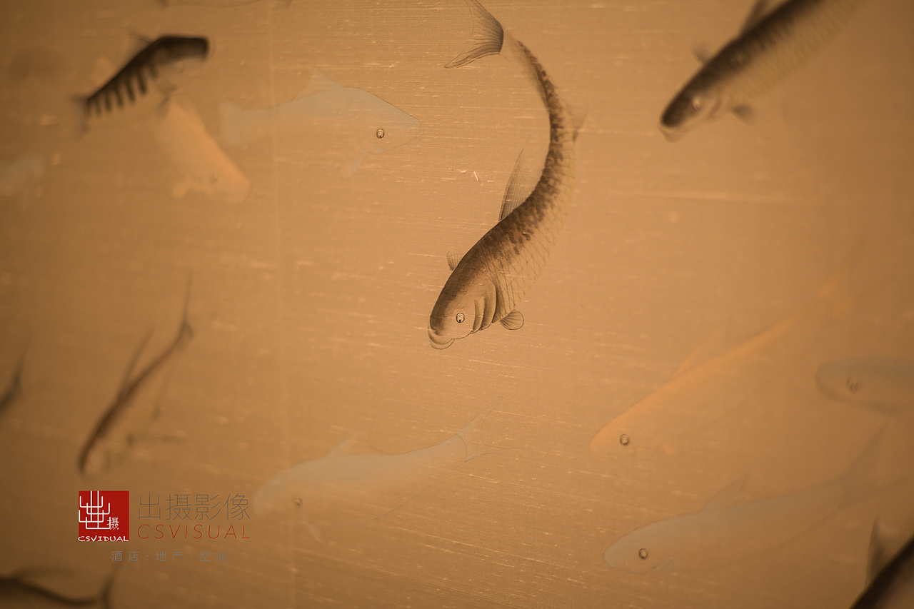 餐厅摄影-港汇小南国