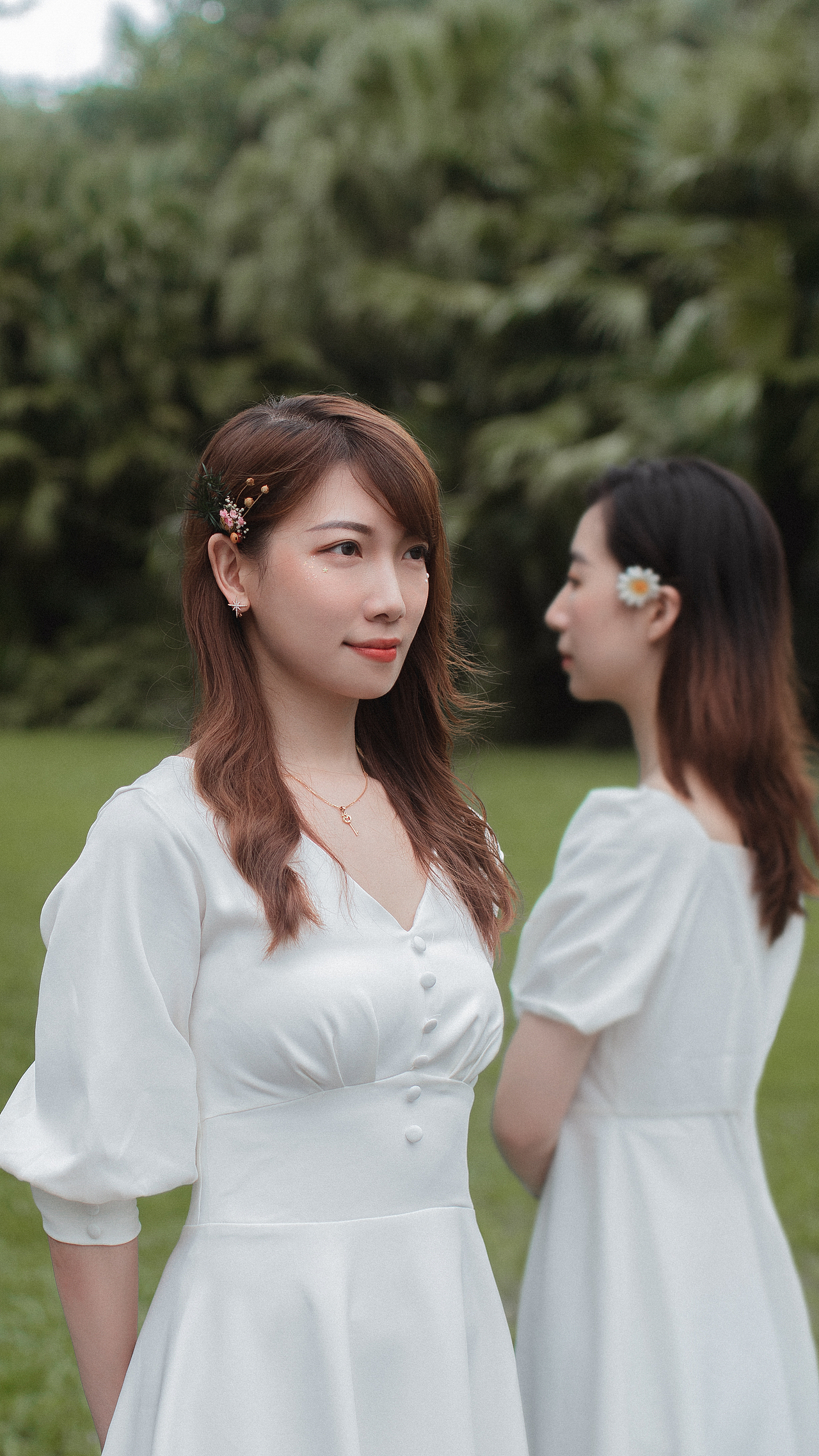 漫步在森林大道