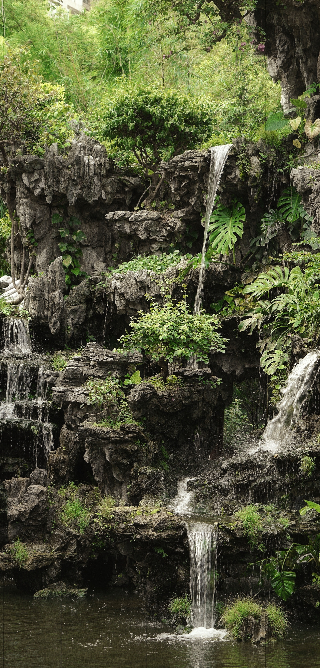 园有花墙漏清晖（图ZMjcxMzE5MDU2） - 风光摄影 - 站酷设计师燦0307原创素材 - 站酷ZCOOL