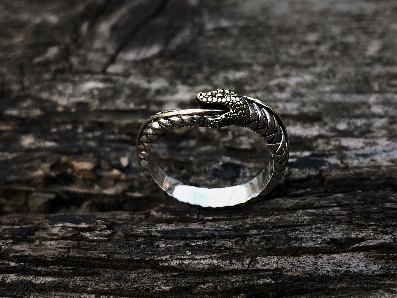 自我吞噬的无限循环衔尾蛇戒指