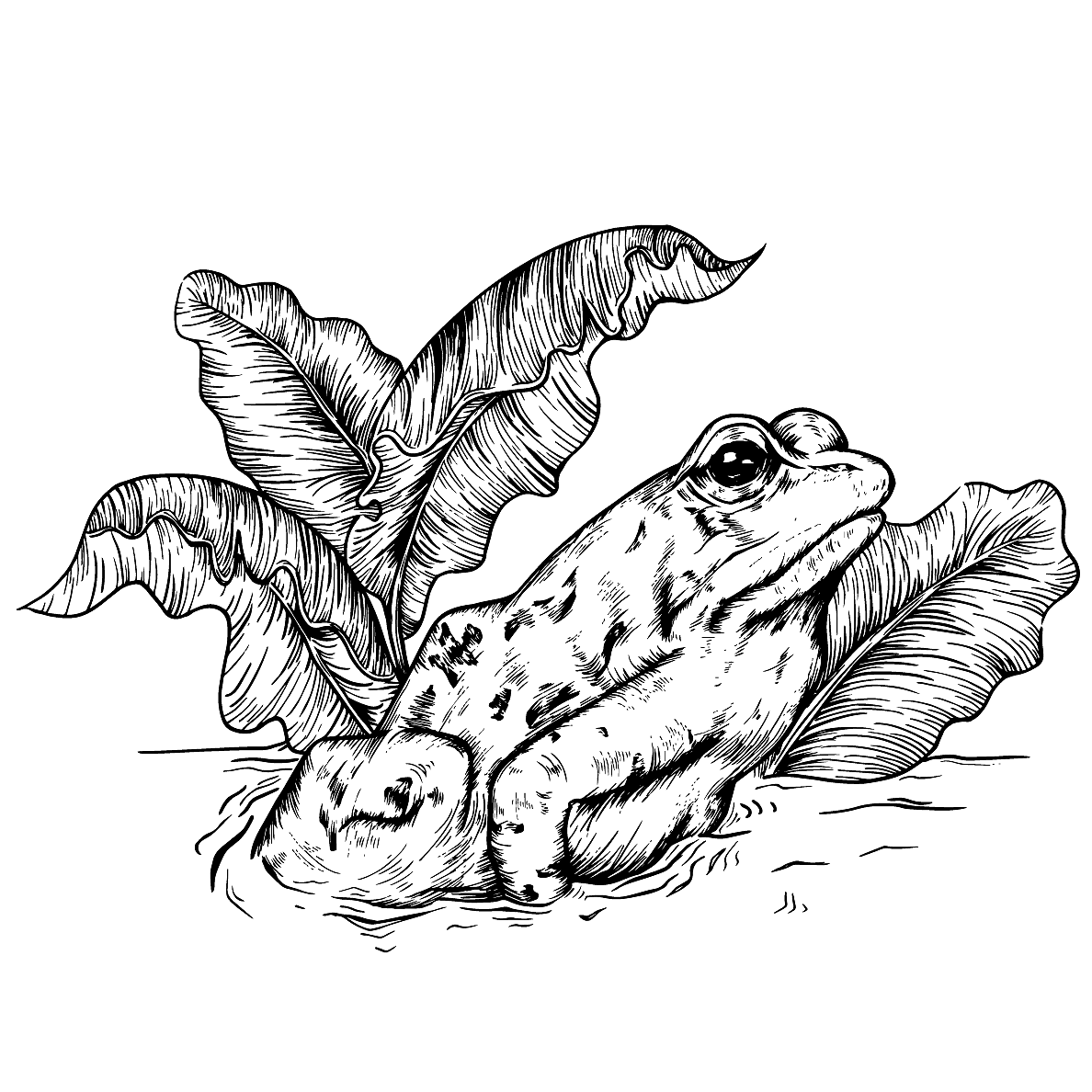 北方山奇包装插图设计