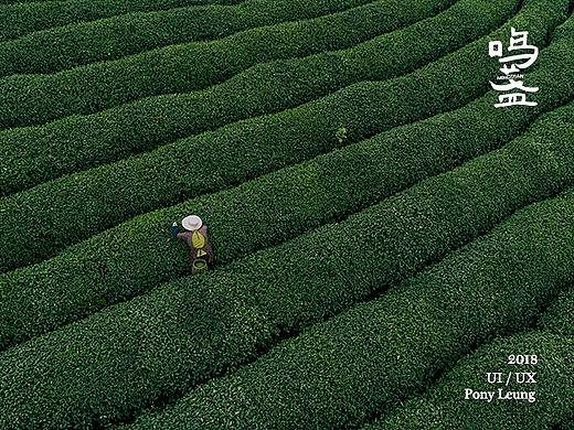 鸣盏茶煮器品牌官网