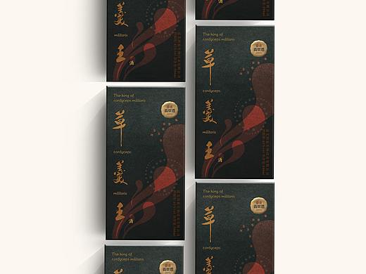 草羹王虫草酒包装设计