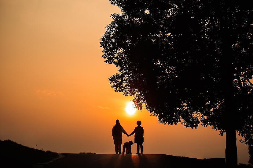 一些宠物摄影外景
