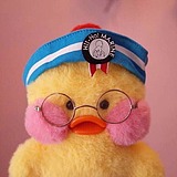 四木z的头像