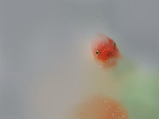 商插美食