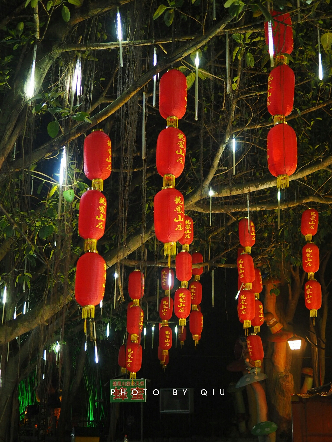 年初二,龙凤山庄