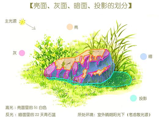 不透明水彩   原创基础练习小画