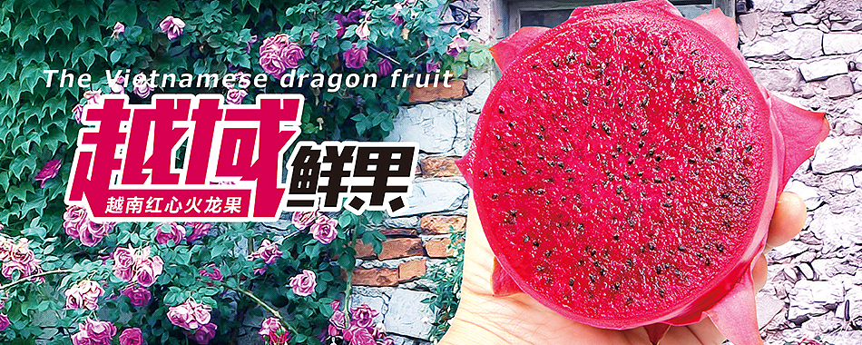 海南新鲜水果电商设计（图ZMTA3NTcxMjky） - 运营设计 - 站酷设计师hbtwo原创素材 - 站酷ZCOOL