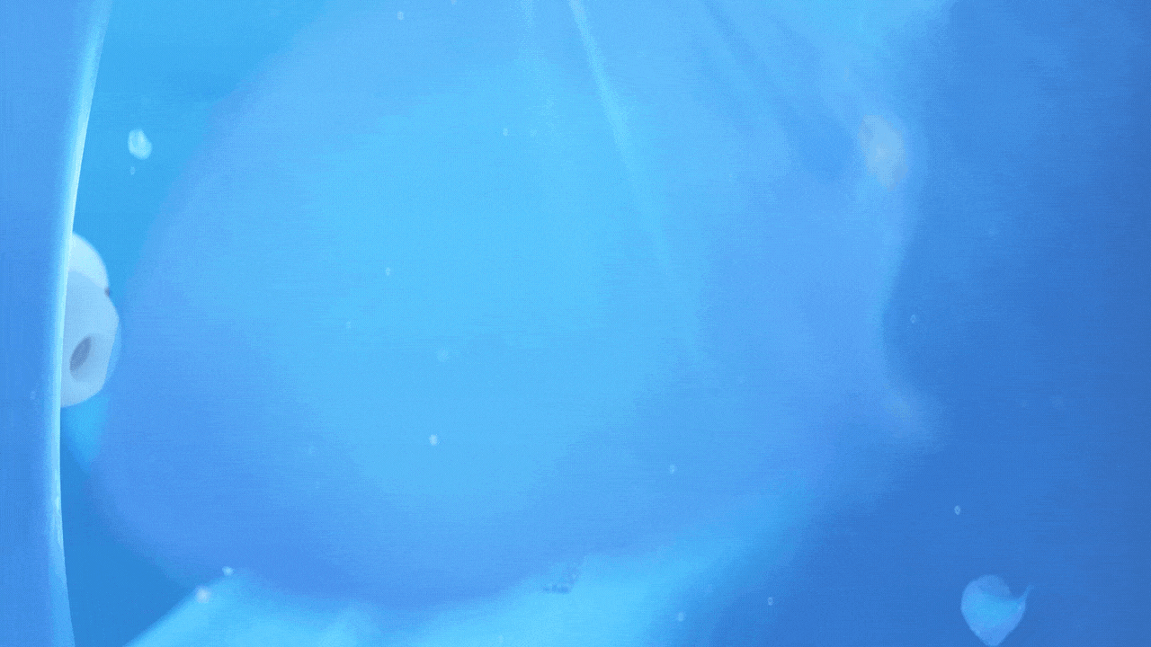 《Summer海洋之声》