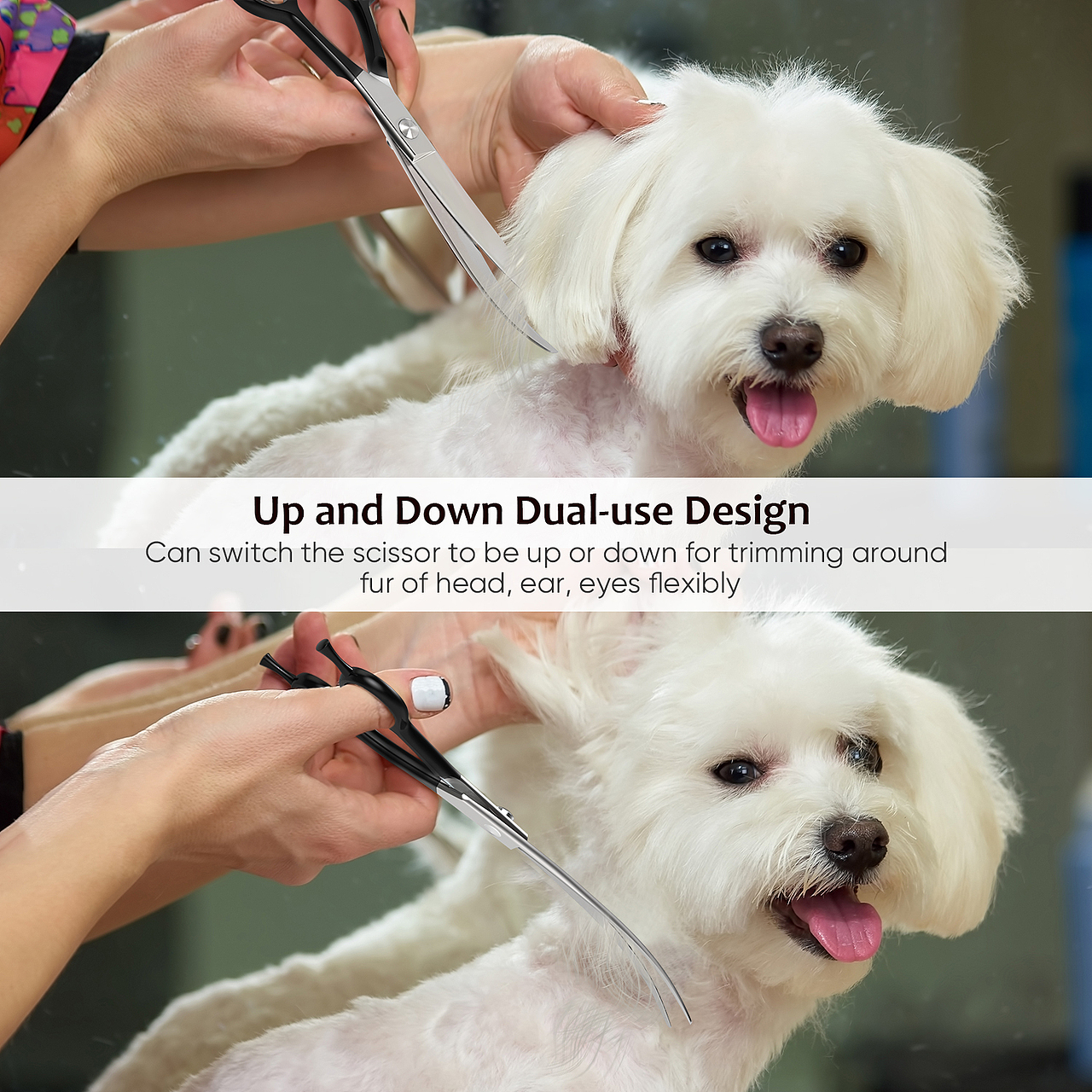 不锈钢宠物剪刀建模渲染-亚马逊套图-橱窗与A+工作纪录