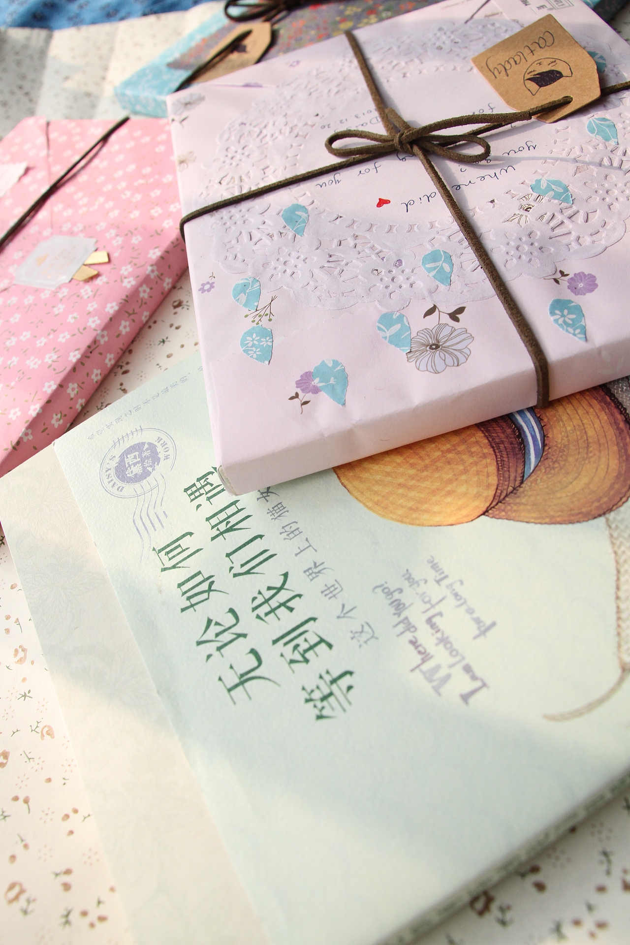  《无论如何等到我们相遇-这个世界上的猫女孩》绘本签名版 全新