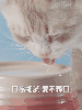 宠物产品摄影|宠叔叔 X 四月名奶罐(图ZMzQ2NzUwNDgw) - 产品摄影 - 站酷设计师宠叔叔传媒小花原创素材 - 站酷ZCOOL