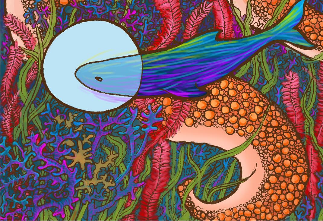 八爪章鱼#VANS艺术家#(图ZNDc3NjM4NDQ=) - 新锐潮流插画 - 站酷设计师紫电闪雷鸣原创素材 - 站酷ZCOOL