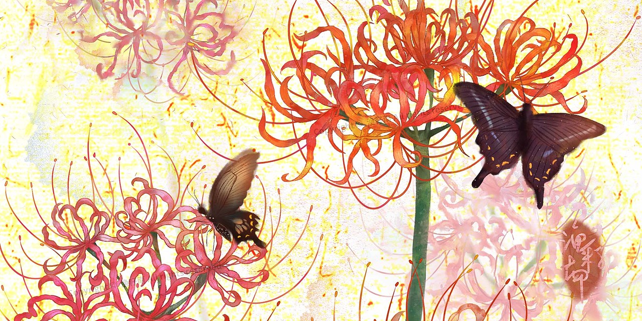 花卉系列彼岸花