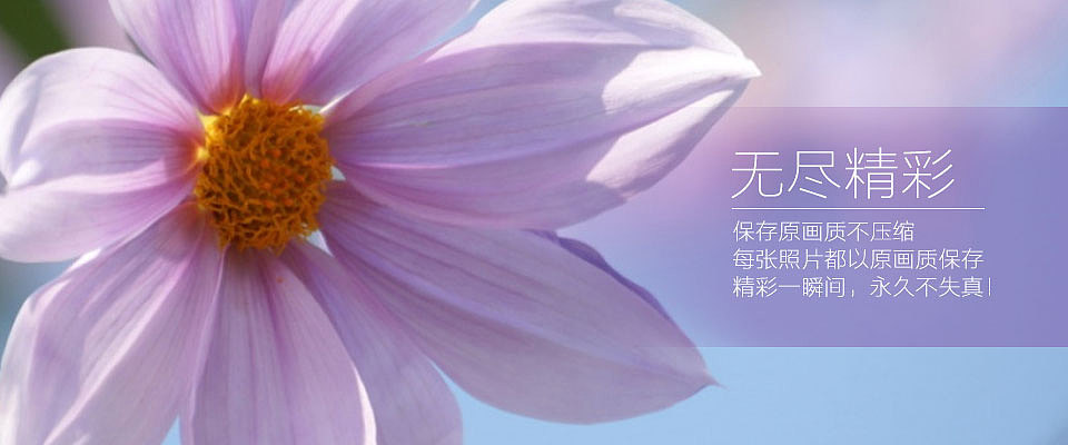 花 -原创 banner图片 练习（图ZMjkxOTcyNTY=） - 运营设计 - 站酷设计师Ice506原创素材 - 站酷ZCOOL