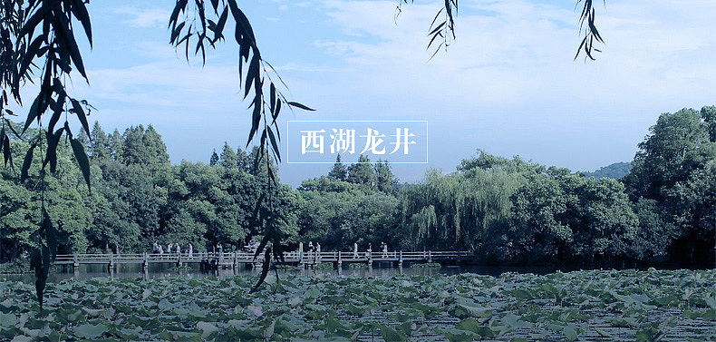 正韵级系列散茶设计（图ZODAxODMzODg=） - 电商 - 站酷设计师kuyi酷儿原创素材 - 站酷ZCOOL