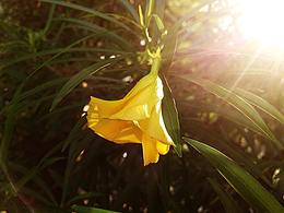 非专业设计拍非专业照片；