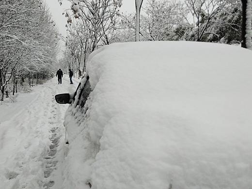 合肥的雪厚不厚@（个人主页-ZMjU2MDk1NDA=） - 风光摄影 - 站酷设计师鸿渐同学原创素材 - 站酷ZCOOL