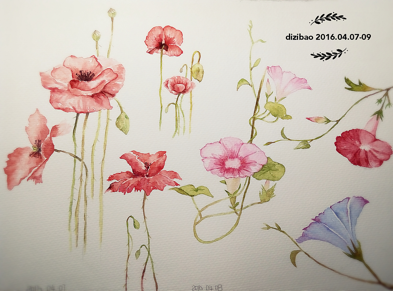 我是一个不浪费纸的好孩纸~！画花朵画的觉得自己好温婉哈哈哈哈！~