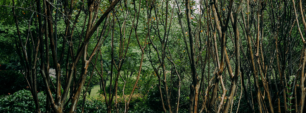 如此,足够我爱这破碎泥泞的人间。