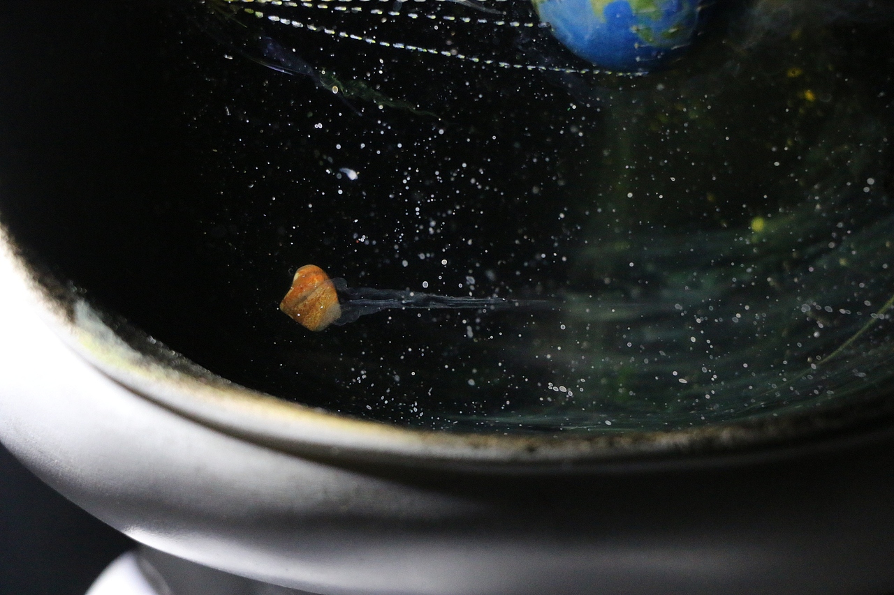 《鳌鱼》《遛浪地球》四月树脂画（图ZMjA1MjcxOTI0） - 其他手工艺 - 站酷设计师跃然脂上原创素材 - 站酷ZCOOL