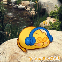 偶遇开心猫-1 （ 真实生活中的开心猫 ）（图ZNDg2NzUxMTI=） - 网络表情 - 站酷设计师李纬一原创素材 - 站酷ZCOOL