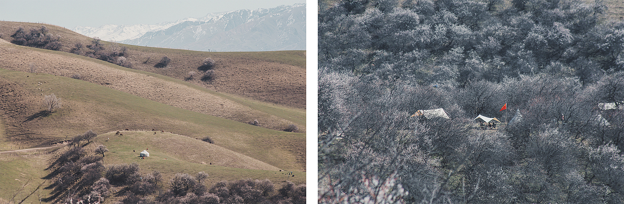遇见油画般的【北疆】