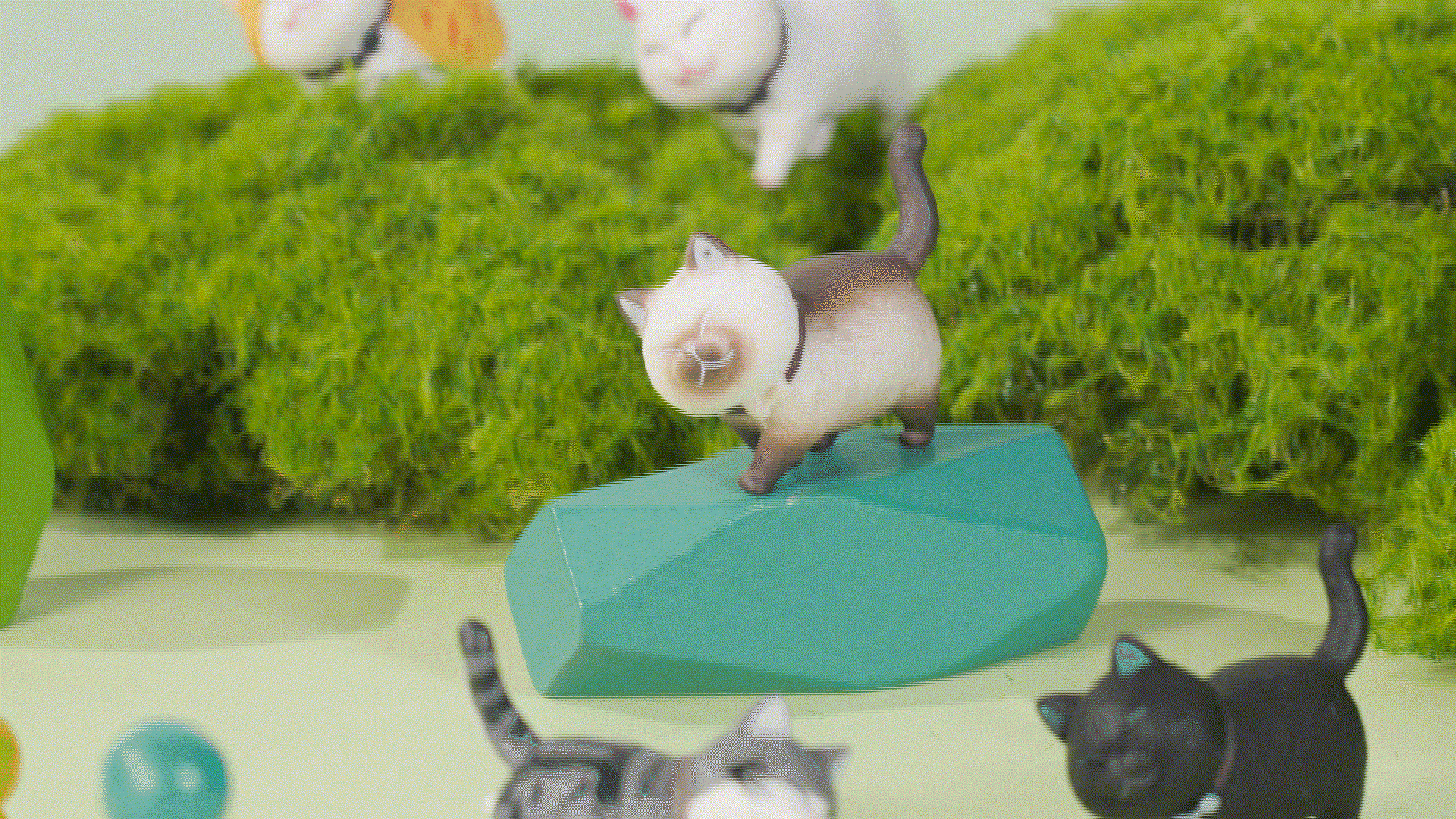 潮玩 手办小猫 短视频