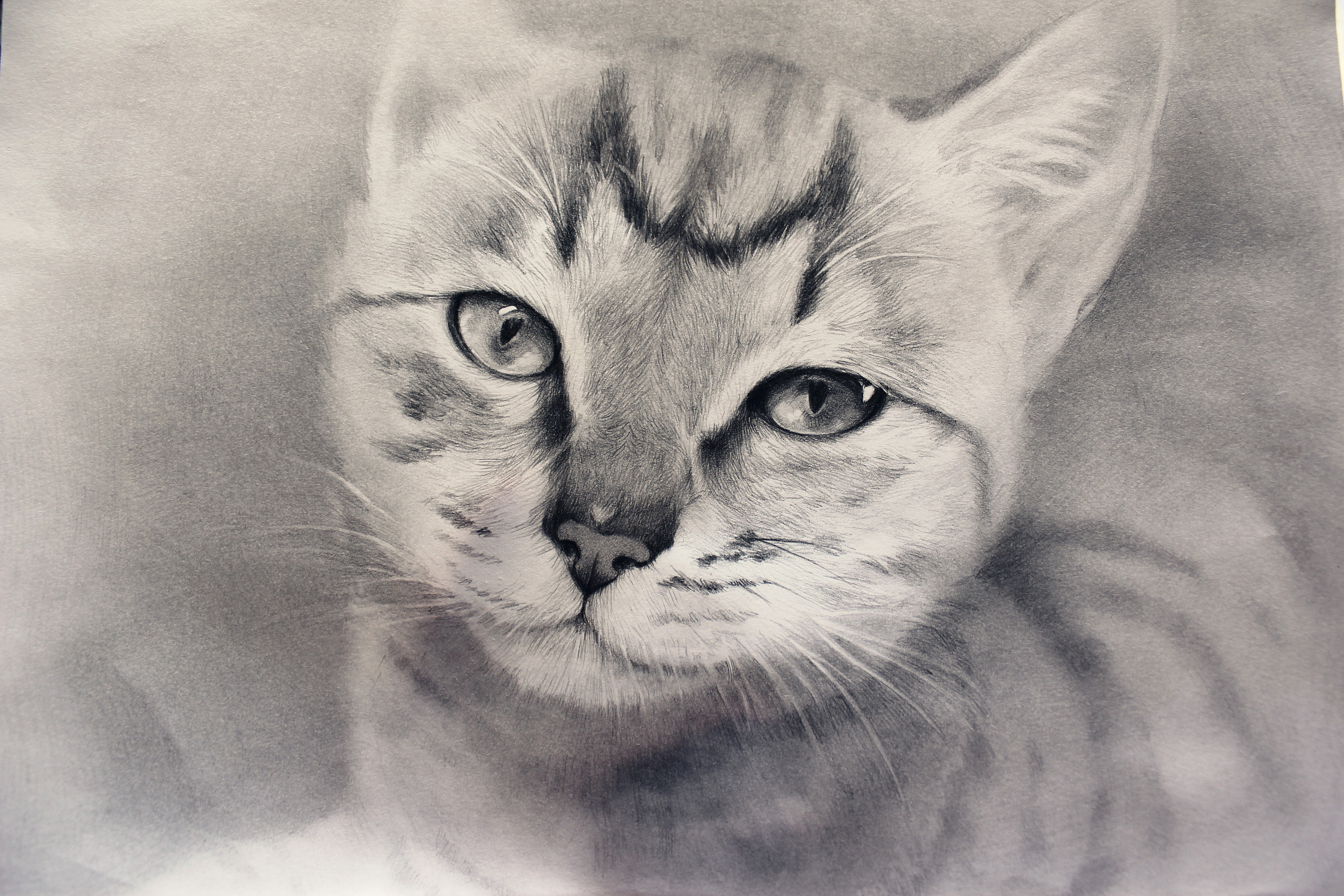 很早之前的手绘练习|纯艺术|素描|sarloyx - 原创作品 - 站酷 (zcool)