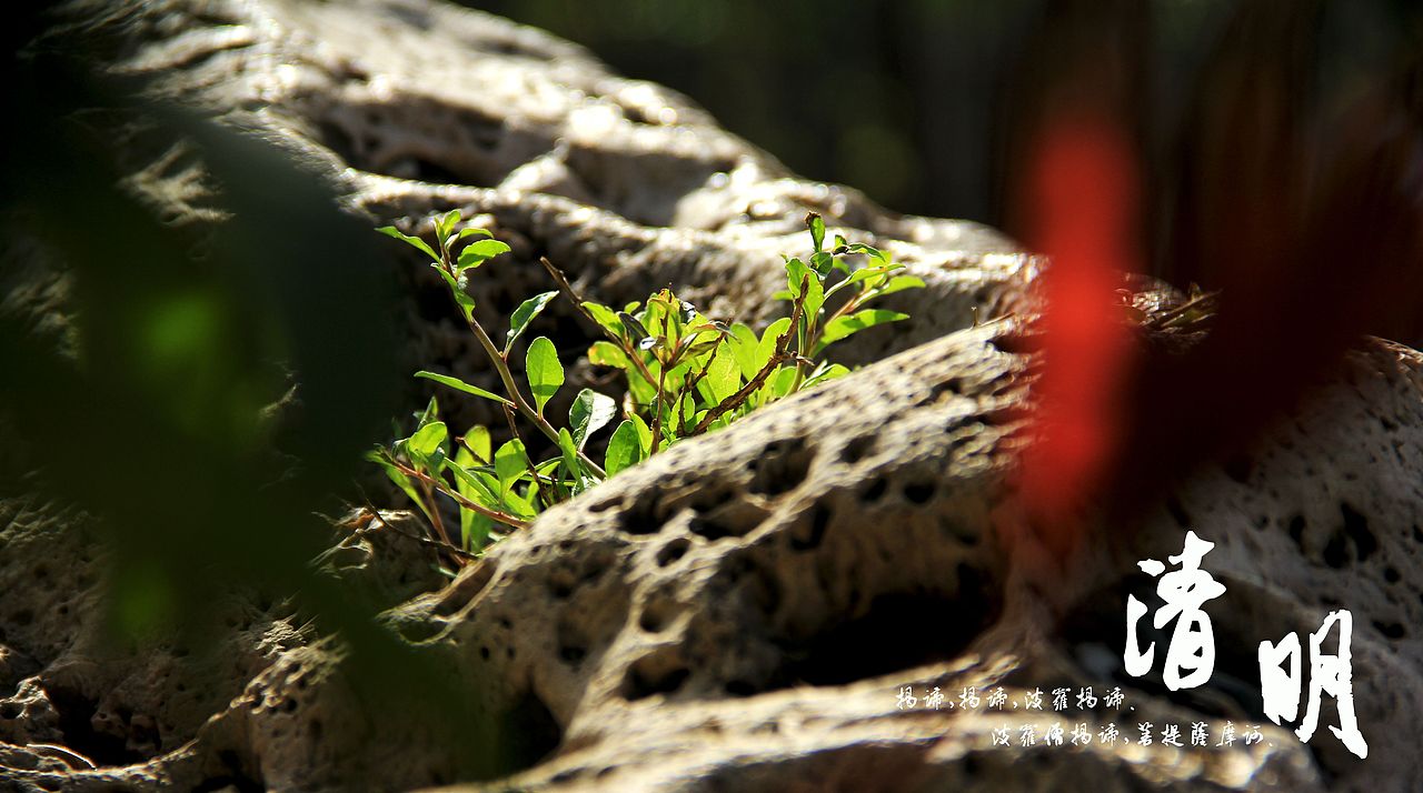 大桥下的石头（图ZODkzMzkzMg==） - 风光摄影 - 站酷设计师半道子原创素材 - 站酷ZCOOL
