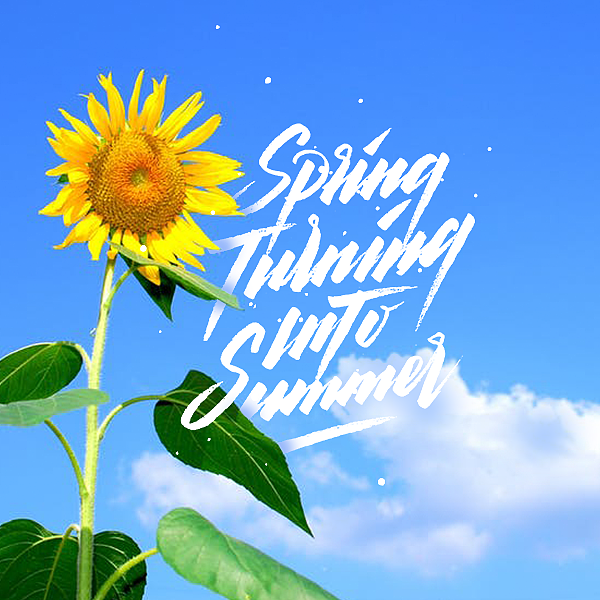 Lettering/字体（七）（图ZODQ5NDk1NzY=） - 字体/字形 - 站酷设计师ZIWEN525原创素材 - 站酷ZCOOL