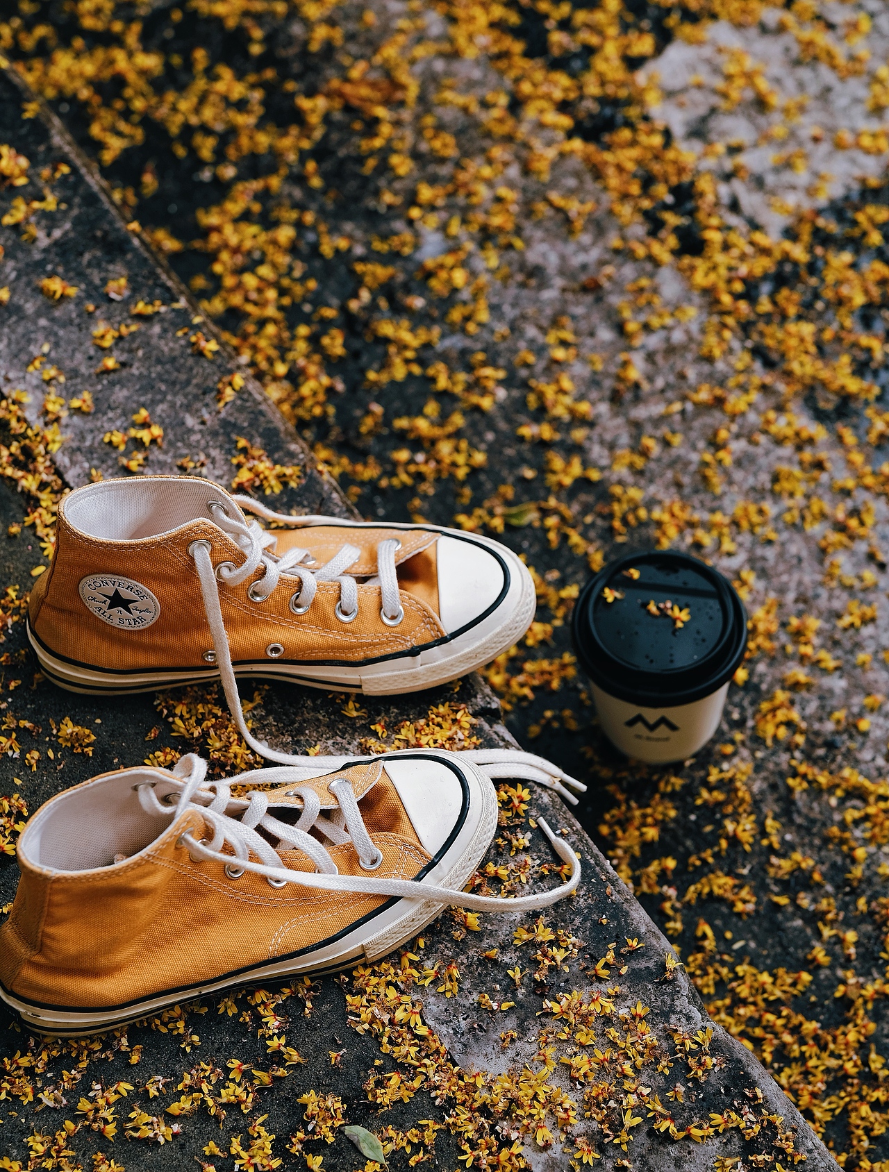 桂花味儿的季节