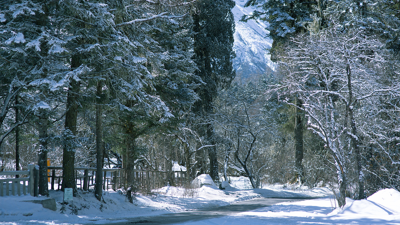 冷酷仙境与世界尽头（图ZMjUwMTA1Mzc2） - 风光摄影 - 站酷设计师阿璞UP原创素材 - 站酷ZCOOL